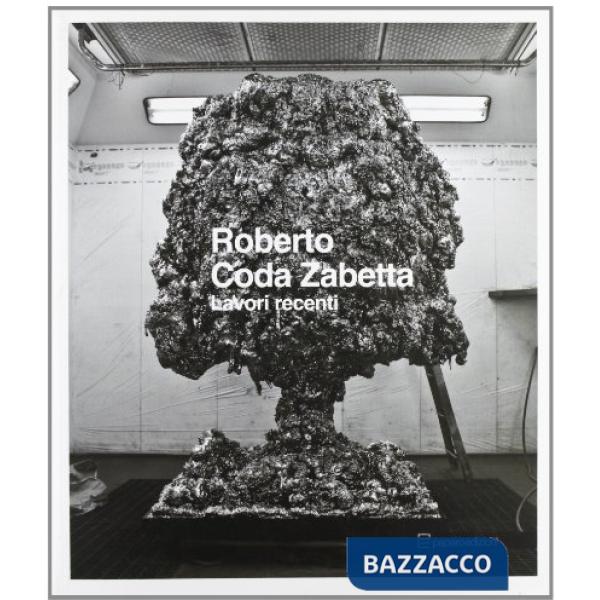 Roberto Coda Zabetta. Ediz. illustrata