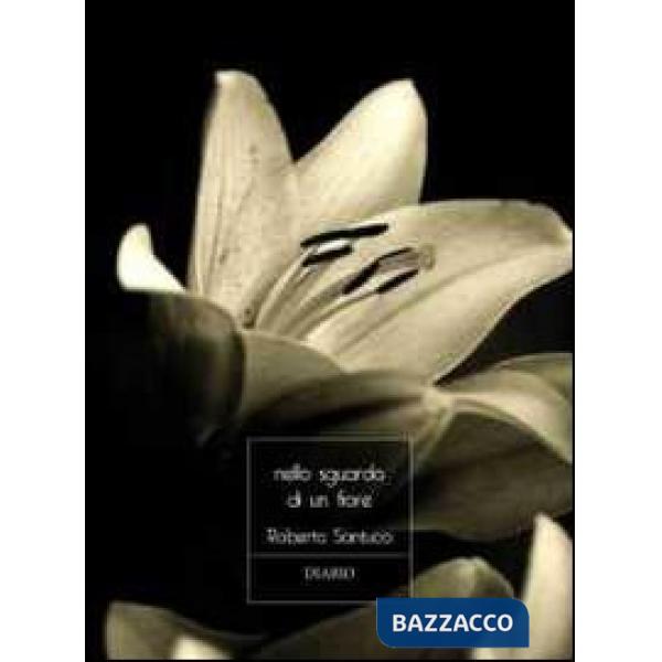 Nello sguardo di un fiore