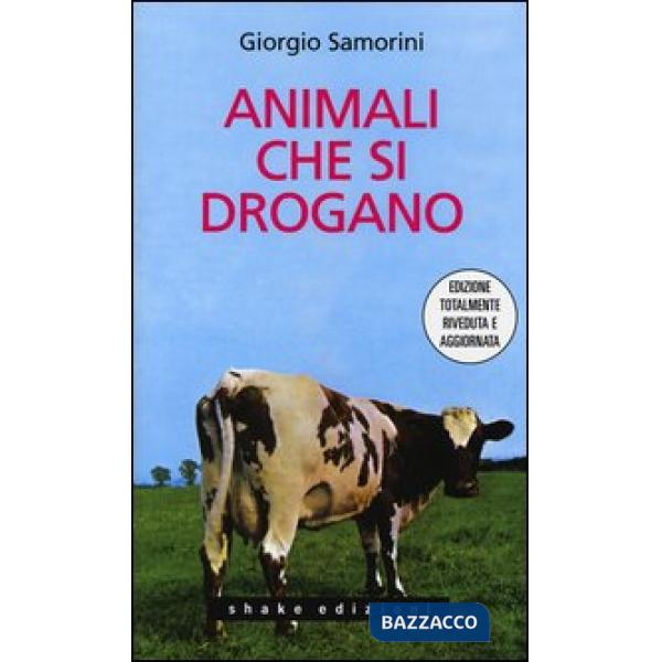 Animali che si drogano