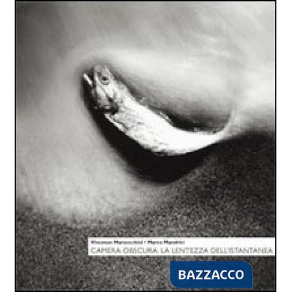 Camera obscura. La lentezza dell'istantanea