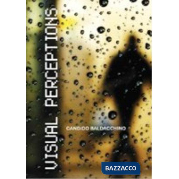 Visual perceptions. Ediz. illustrata