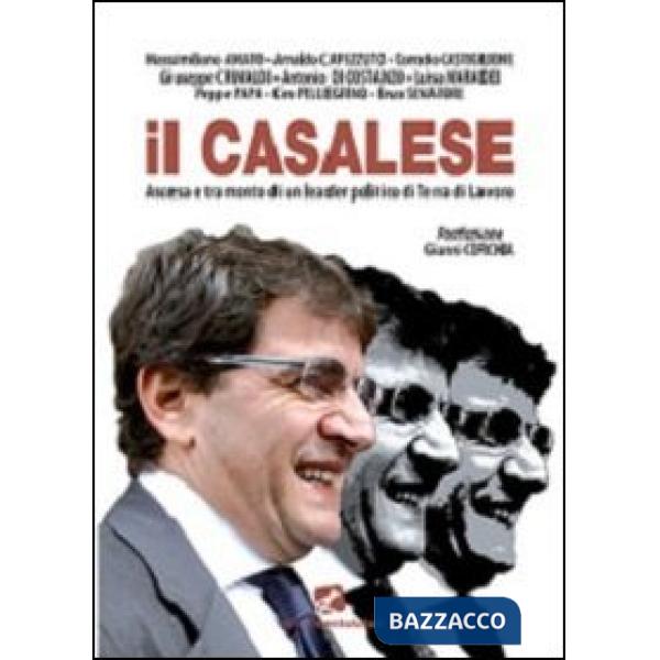 Casalese. Ascesa e tramonto di un leader politico di Terra di lavoro (Il)