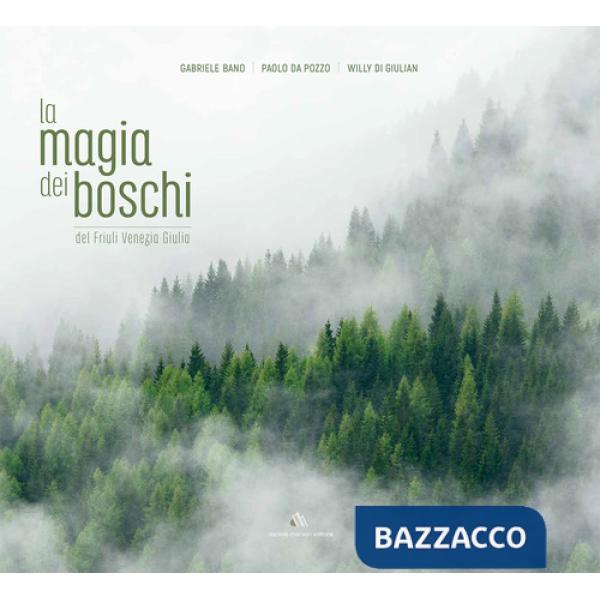 Magia dei boschi del Friuli Venezia Giulia. Ediz. italiana e inglese (La)