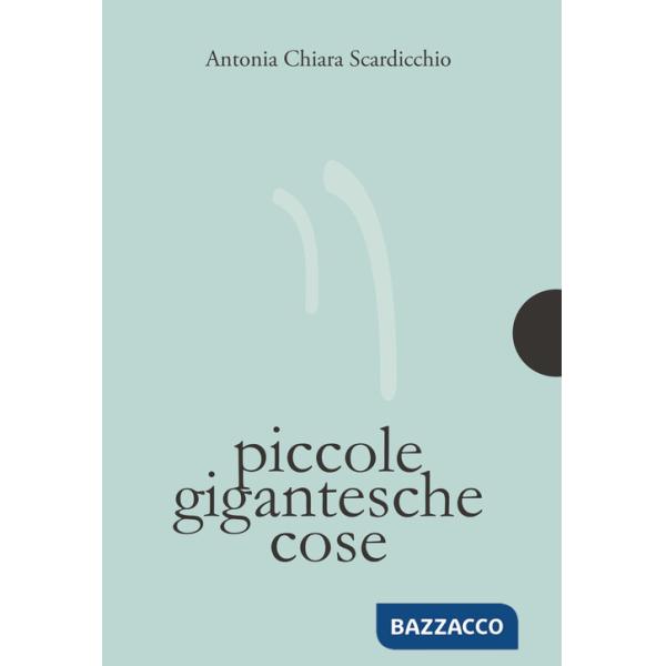 Piccole gigantesche cose