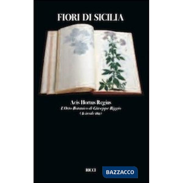 Fiori di Sicilia. Acis hotus regius l'erbario di Giuseppe Riggio
