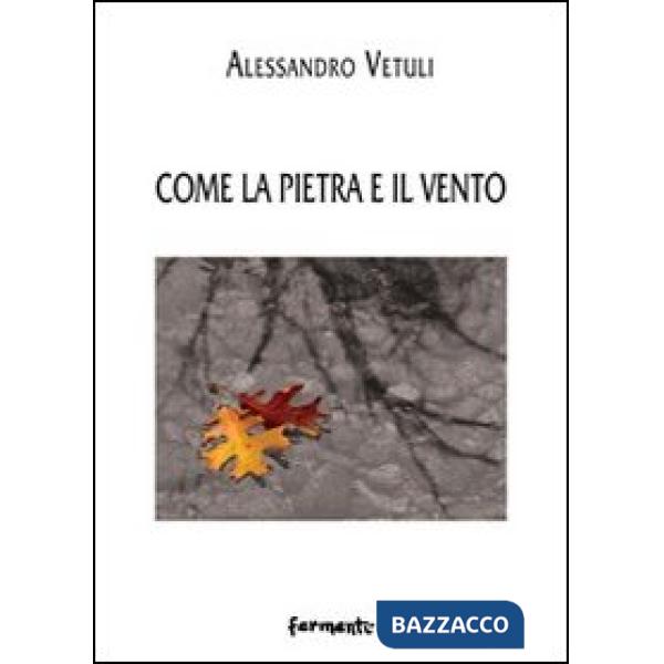 Come la pietra e il vento