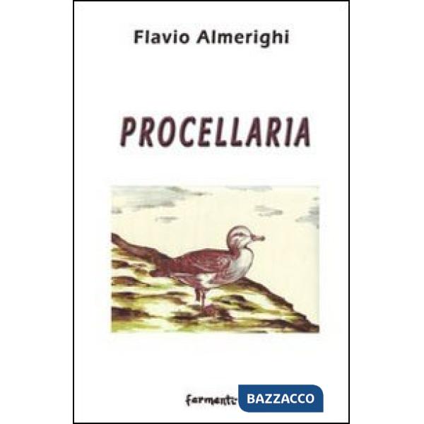 Procellaria
