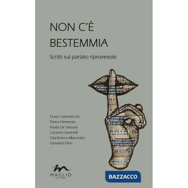 Non c'è bestemmia. Scritti sul parlato riprovevole