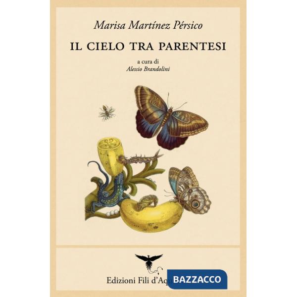 Cielo tra parentesi. Testo spagnolo a fronte (Il)