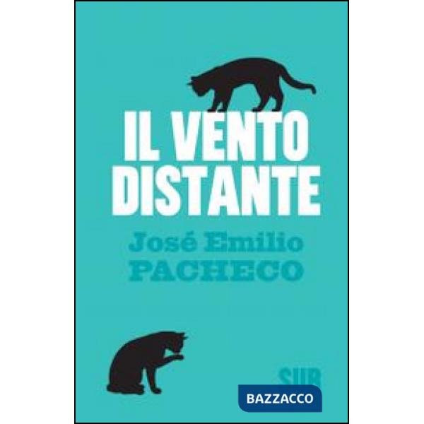 Vento distante (Il)