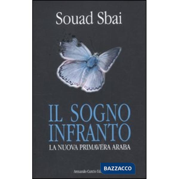 Sogno infranto. La nuova primavera araba (Il)