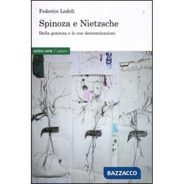 Spinoza e Nietzsche. Della potenza e le sue determinazioni