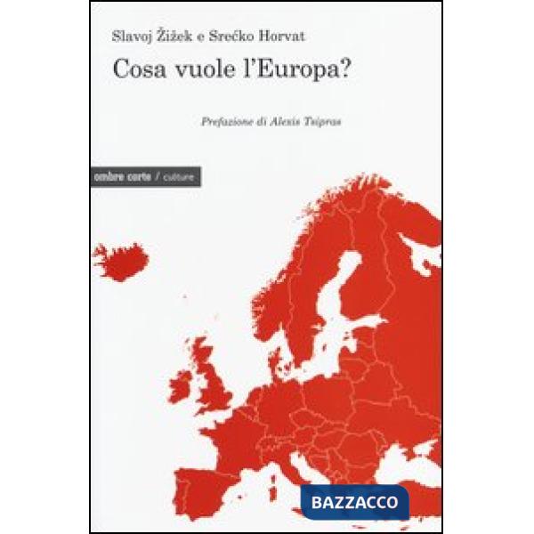 Cosa vuole l'Europa?