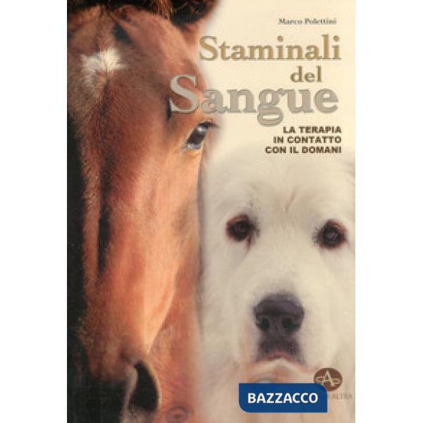 Staminali del sangue. La terapia in contatto con il domani