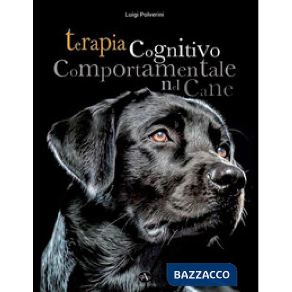 Terapia cognitivo comportamentale del cane. Come intervenire nei disturbi o nell