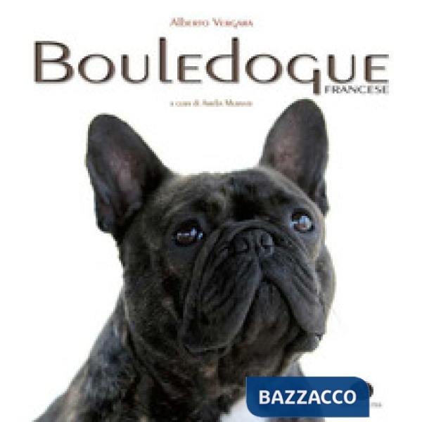 Bouledogue francese