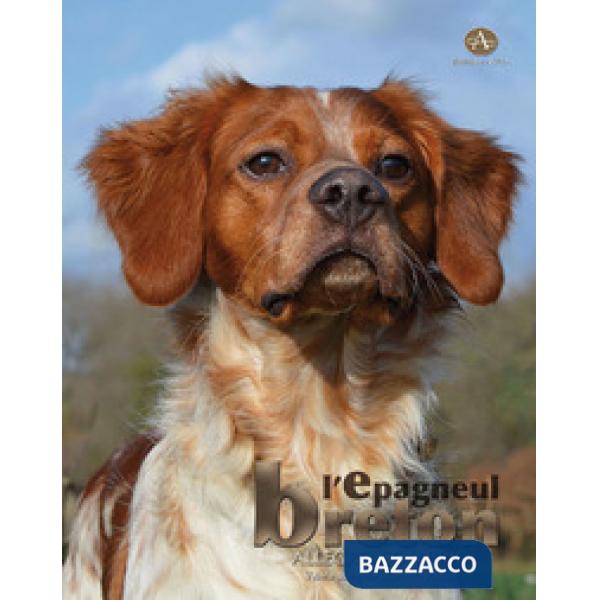 Épagneul breton (L')