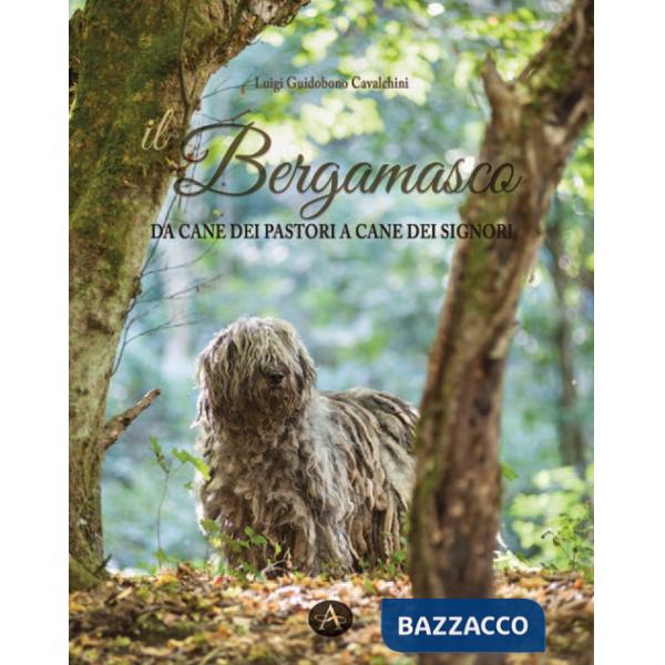 Bergamasco. Da cane dei pastori a cane dei signori (Il)