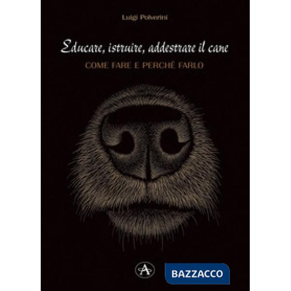 Educare, istruire, addestrare il cane. Come farlo e perché farlo