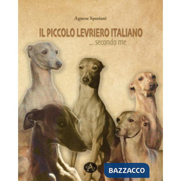 Piccolo levriero italiano... secondo me (Il)
