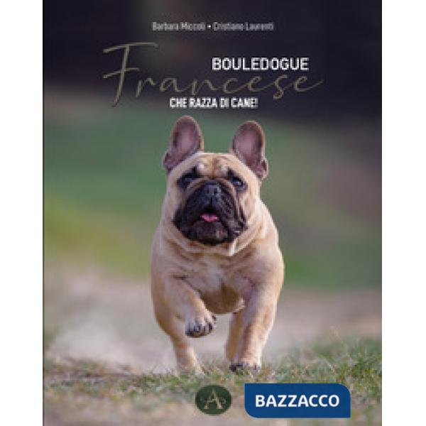 Bouledogue francese. Che razza di cane!