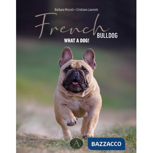 French bulldog. Passion, knowledge, and life shared with an extraordinary dog
