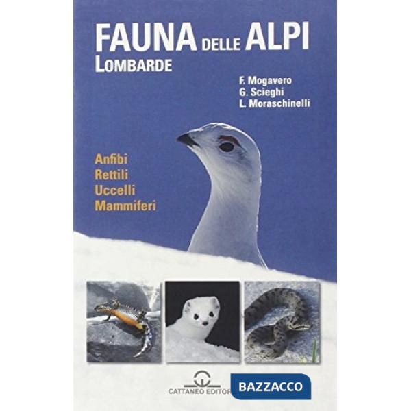 Fauna delle Alpi Lombarde. Anfibi, rettili, uccelli, mammiferi (La)