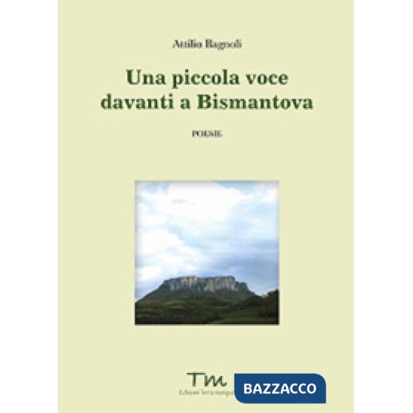 Piccola voce davanti a Bismantova (Una)