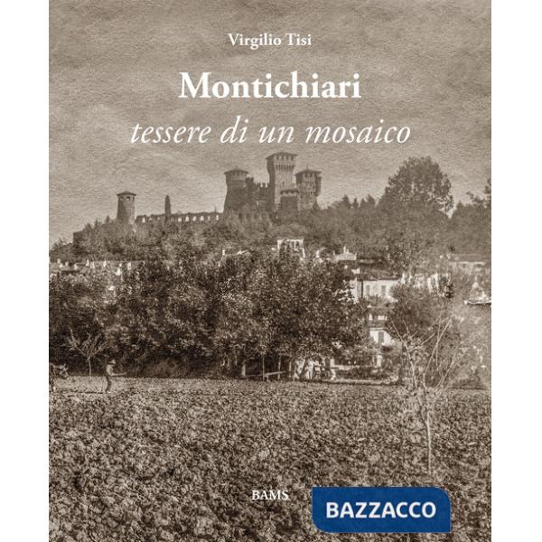 Montichiari. Tessere di un mosaico