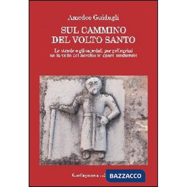 Sul cammino del volto santo. Le strade e gli ospedali per pellegrini nella valle del Serchio in epoca medievale