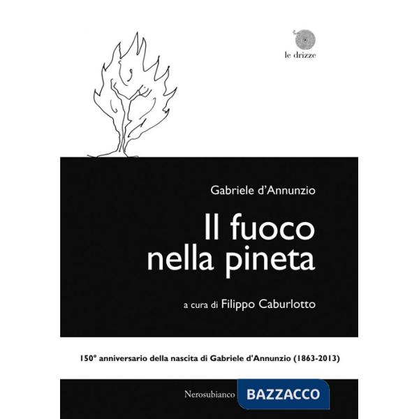 Fuoco nella pineta (Il)