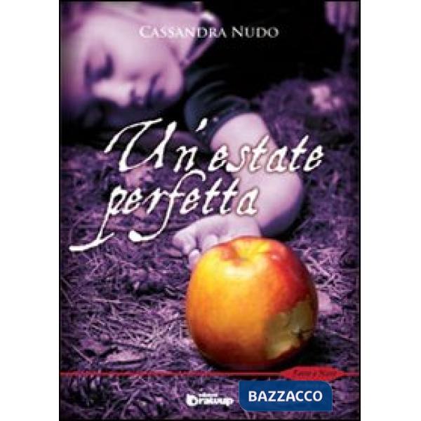 Estate perfetta (Un')