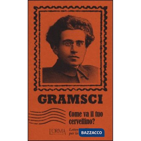 Come va il tuo cervellino? Lettere sull'amore per lo studio