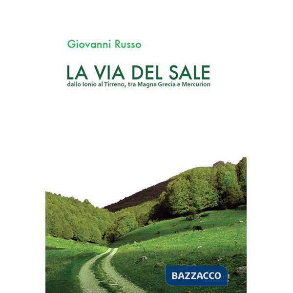 Via del sale. Dallo Ionio al Tirreno. Tra Magna Grecia e Mercurion (La)