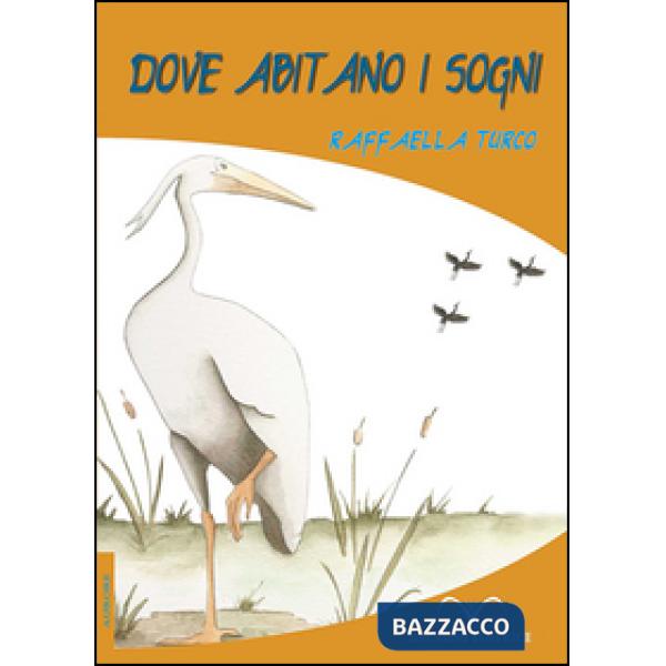 Dove abitano i sogni