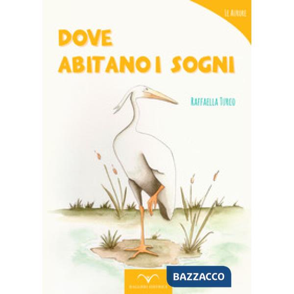 Dove abitano i sogni