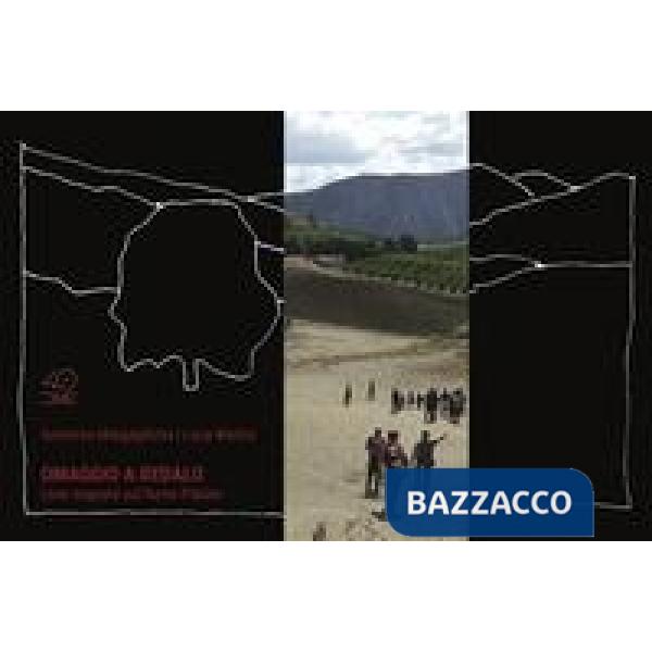 Omaggio a Dedalo. Case sognate sul fiume Platani. Ediz. illustrata. Con gadget