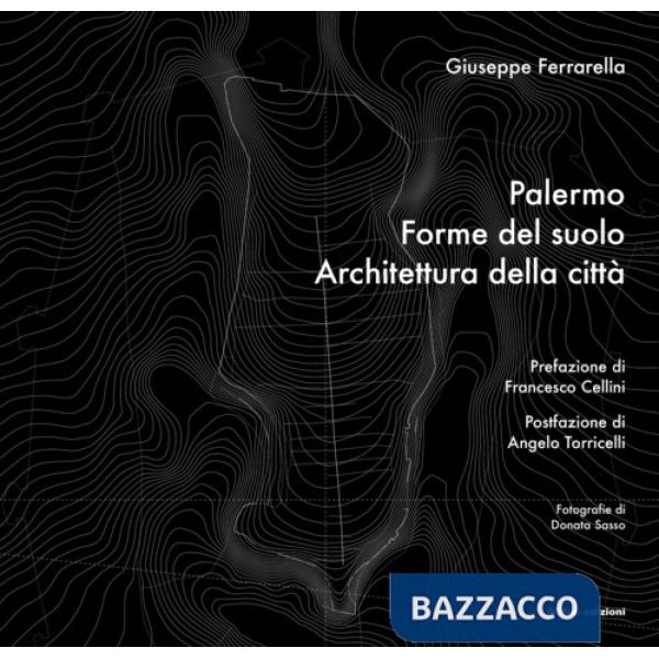 Palermo. Forme del suolo, Architettura della città
