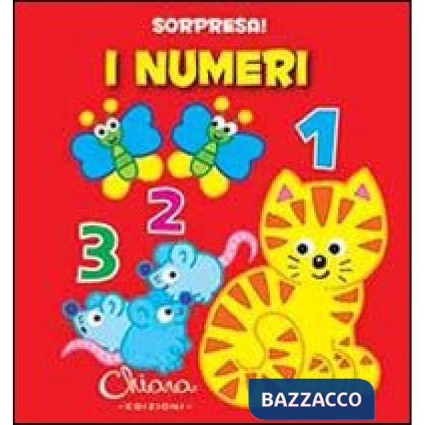 Numeri. Sorpresa! Ediz. illustrata (I)