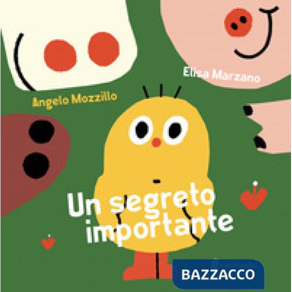 Segreto importante. Ediz. illustrata (Un)