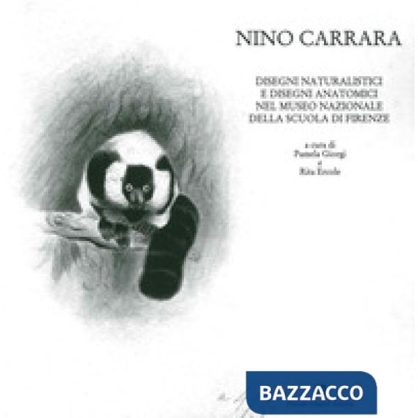 Nino Carrara. Disegni naturalistici e disegni anatomici nel Museo nazionale della scuola di Firenze. Ediz. illustrata