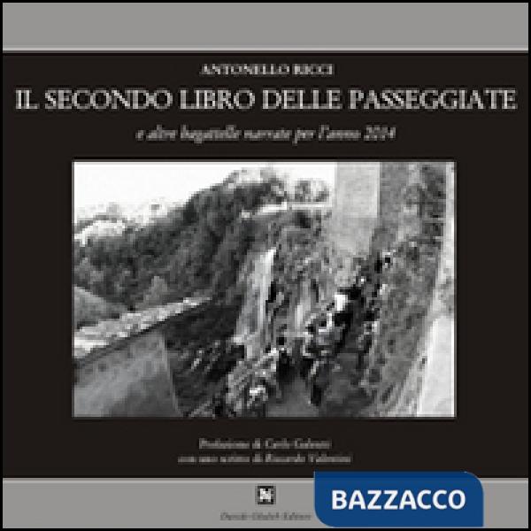 Secondo libro delle passaggiate e altre bagattelle narrate per l'anno 2014 (Il)