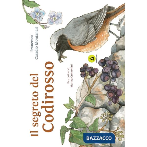 Segreto del Codirosso. Storie di Querciantica (Il)