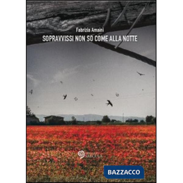 Sopravvissi non so come alla notte