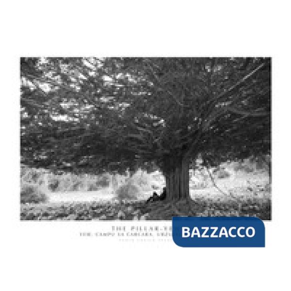 Pillar-Yew. Yew, Campu Sa Carcara, Urzulei, Sardinia. Ediz. italiana e inglese. Con stampa Fine Art (The)