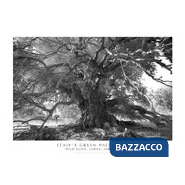 Italy's green patriarch. Wild olive, Luras, Sardinia. Ediz. italiana e inglese. Con stampa Fine Art