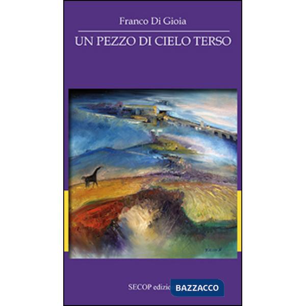 Pezzo di cielo terso (Un)