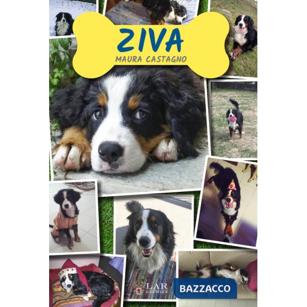 Ziva
