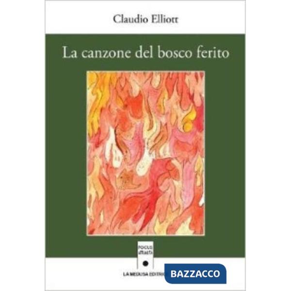 CANZONE DEL BOSCO FERITO (LA)