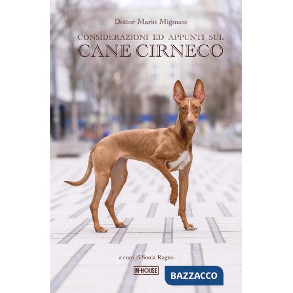 Considerazioni ed appunti sul cane Cirneco